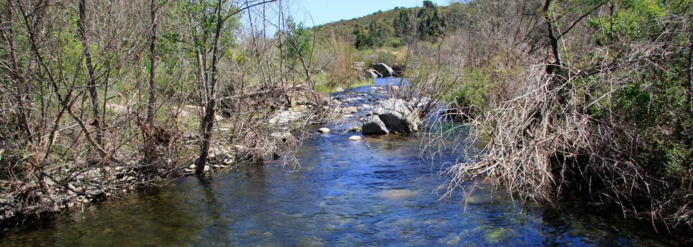 Imatge per a fer referència al menú per a grups que es diu Orlina, com el riu